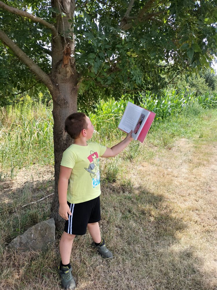 chłopiec stoi po drzewem i w lewej ręce trzyma otwartą książkę
