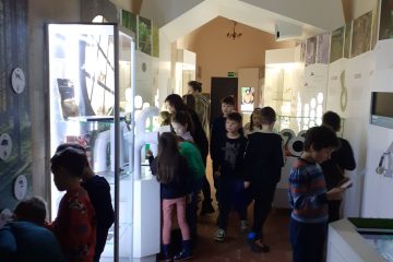 Grupka dzieci stoi przed różnymi gablotami w Sali multimedialnej i szukają rozwiązań do zadań przy różnych stanowiskach.