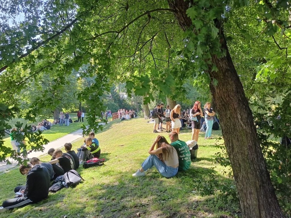 Z przodu, po prawej stronie, widok drzewa. W tle grupa osób stojących i siedzących na trawie.